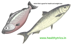 which fish is good for health and weight loss